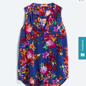 Daniel Rainn top